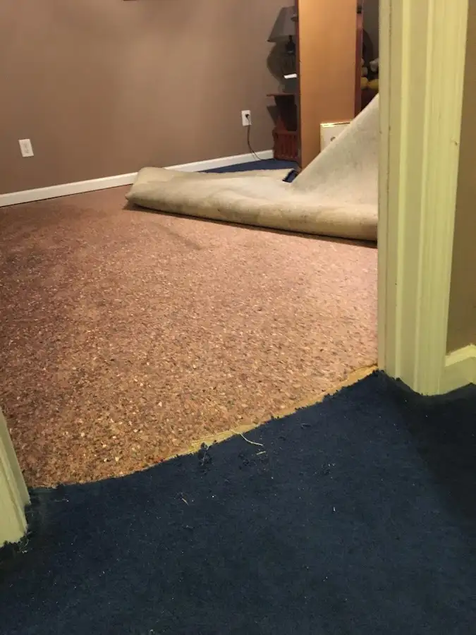 Carpet pad removal revealing water damage during Drying & Dehumidification in Palm Valley