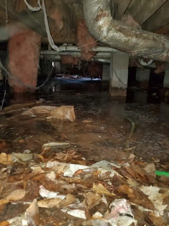 Crawl space flood assessment for Commercial Water Damage Restoration in Palm Valley