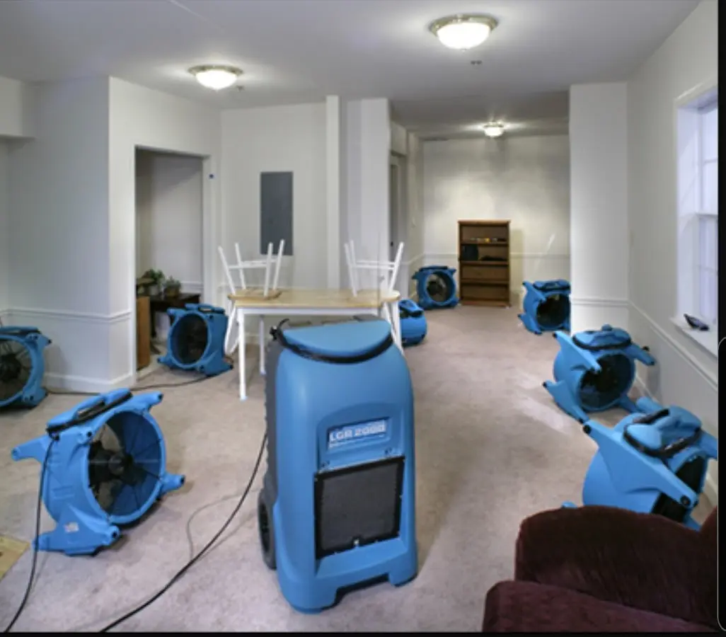 Air movers and dehumidifier setup for Water Extraction & Removal in Palm Valley
