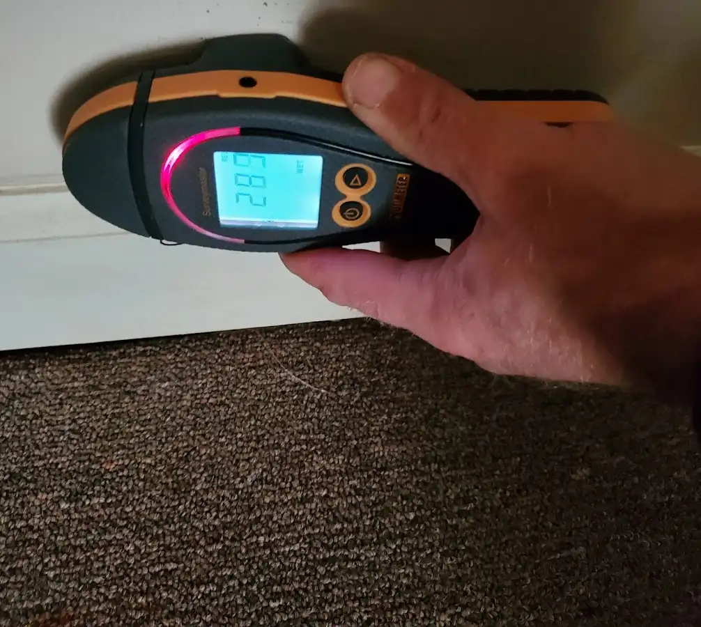 Moisture detection at baseboard during Mold Inspection & Testing in Palm Valley